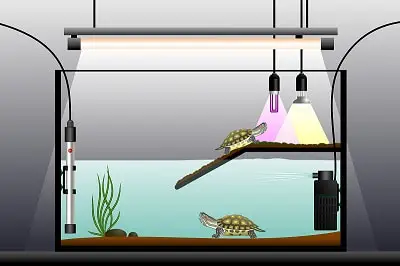 turtle bask terrace island reptiles dock float platform climb aquarium tools US 