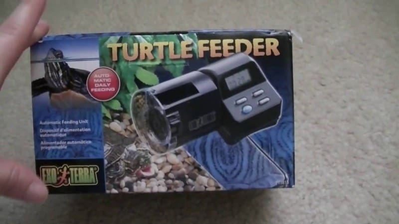 Best Automatic Turtle Feeders