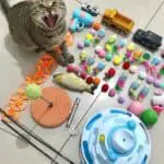 cat-toy-2